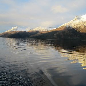 Le Bouton de nacre : Photo