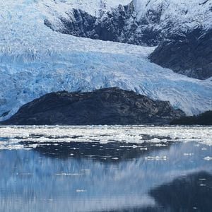 Le Bouton de nacre : Photo