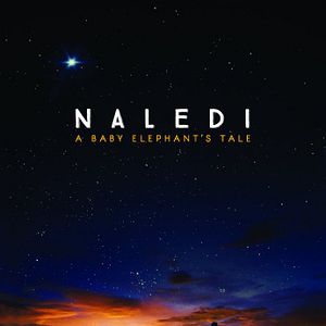 Photo Naledi, l'éléphanteau orphelin