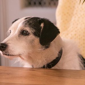 Photo Inspecteur Barnaby