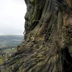 Photo Quelques minutes après minuit