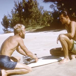 Photo The Endless Summer