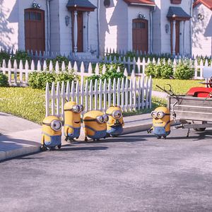 Photo Minions en herbe