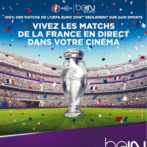 Photo Euro 2016 : 8ème de Finale (CGR Events)