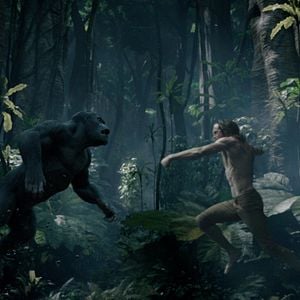 Photo Tarzan
