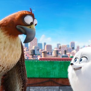 Photo Comme des bêtes