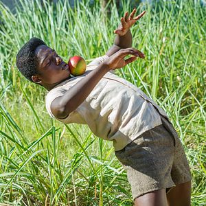 Photo Pelé - naissance d’une légende