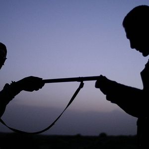 Photo La nuit et l'enfant