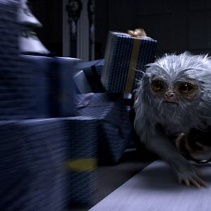 Photo Les Animaux fantastiques