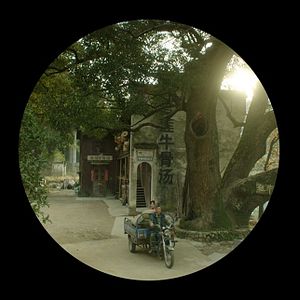 Photo I Am Not Madame Bovary