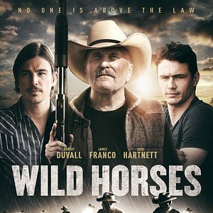 Photo Wild Horses