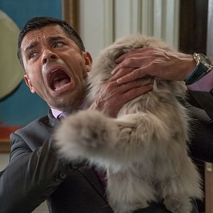 Photo Mark Consuelos