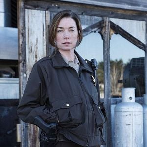 Photo Julianne Nicholson
