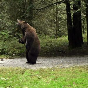 Photo Connor Beardmore