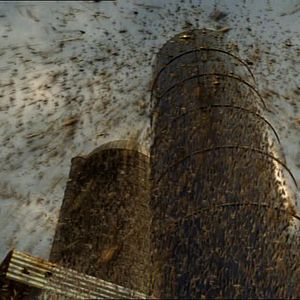 Photo Les ailes du chaos