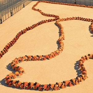 Photo The Human Centipede III (Final Sequence)