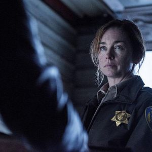 Photo Julianne Nicholson