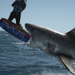 Photo Planet of the Sharks