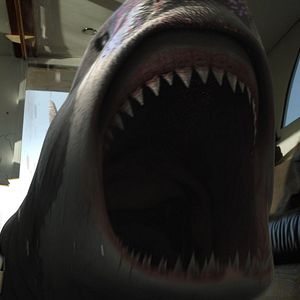 Photo Planet of the Sharks
