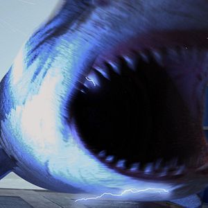Photo Planet of the Sharks