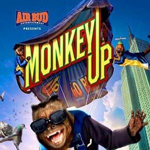 Photo Monkey Up