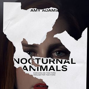 Photo Nocturnal Animals
