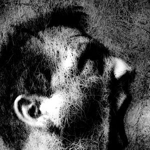 Photo Monch - Portrait d'artiste