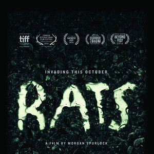 Photo Rats