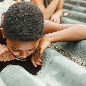 Photo Pelé - naissance d’une légende