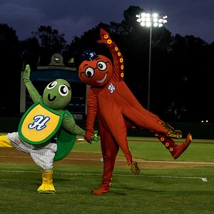 Photo Mascots