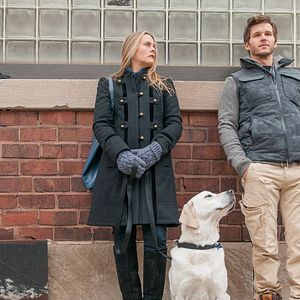 Photo Alicia Silverstone