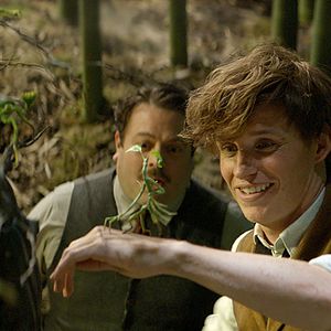 Photo Eddie Redmayne