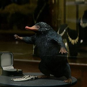 Photo Les Animaux fantastiques