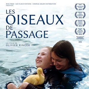 Photo Les Oiseaux De Passage