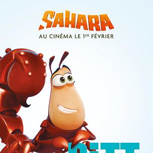 Photo Sahara