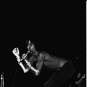 Photo Iggy Pop
