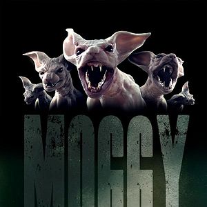 Photo Moggy Creatures
