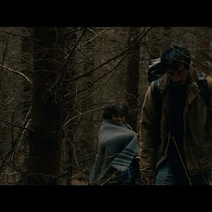 Photo Dans La Forêt