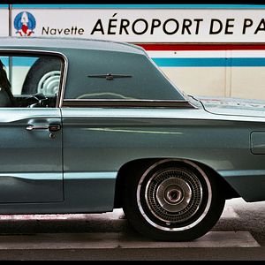 Photo La Dame dans l'auto avec des lunettes et un fusil
