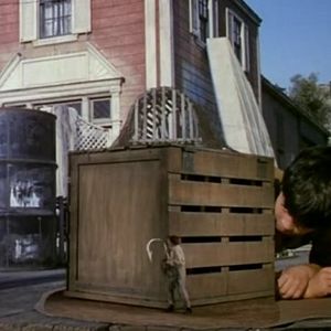 Photo Au pays des géants