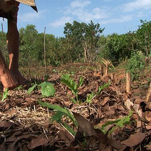 Photo Auroville