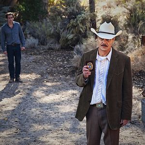 Photo Nocturnal Animals