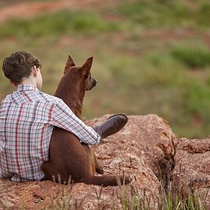 Photo Blue, mon Chien d'Australie