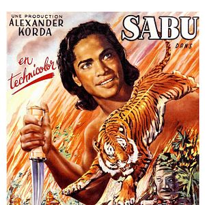 Photo Le Livre de la jungle