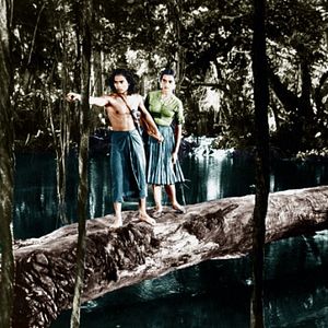 Photo Le Livre de la jungle