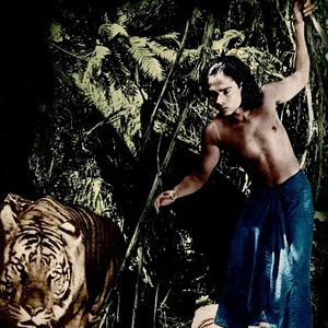 Photo Le Livre de la jungle