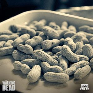 Photo The Walking Dead
