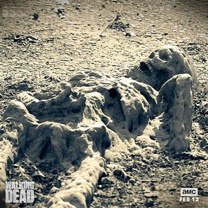 Photo The Walking Dead