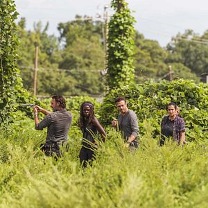 Photo Alanna Masterson