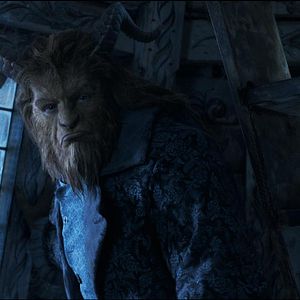 Photo La Belle et la Bête